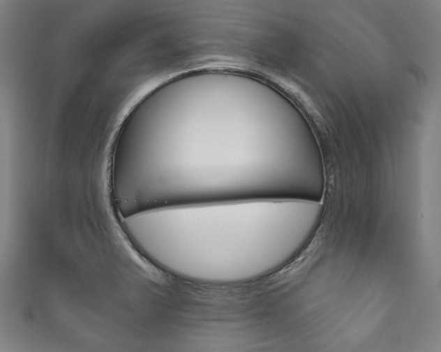 X0000111831375200907231013