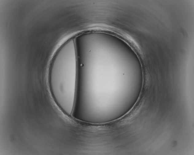 X0000111831376200907231013