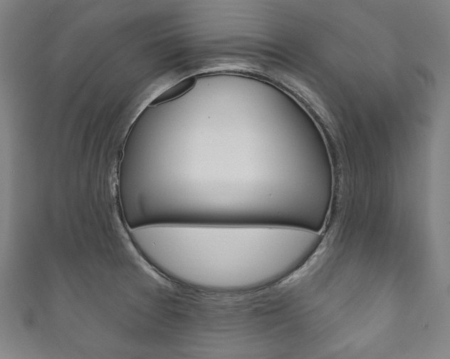 X0000111831377200907231013