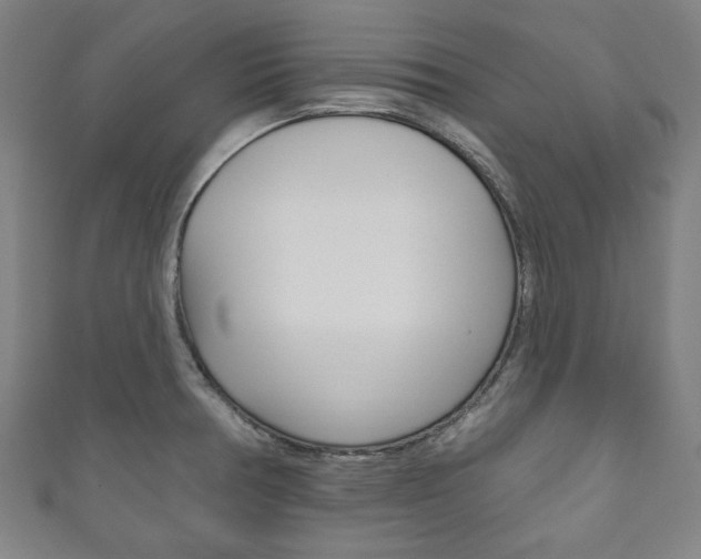 X0000111831378200907231013