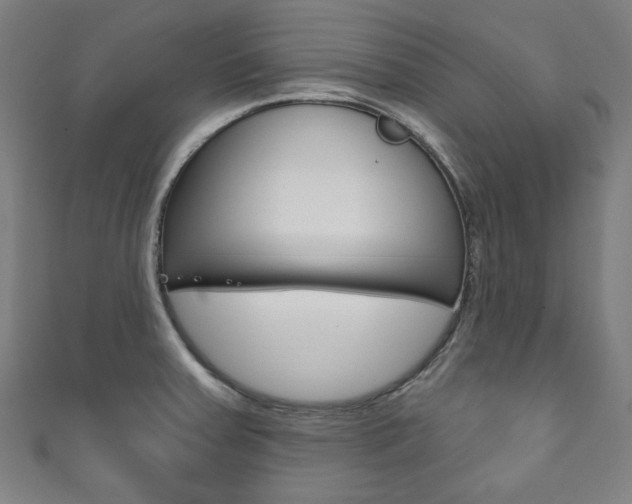X0000111831379200907231013
