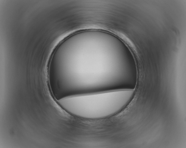 X0000111831380200907231013