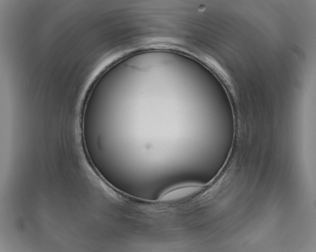 X0000111831384200907231013