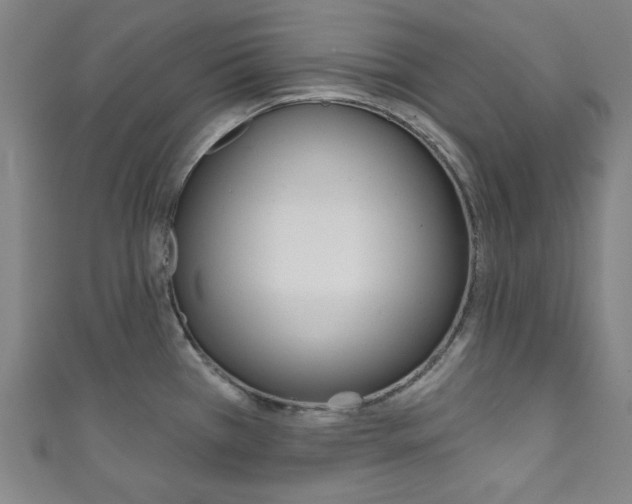 X0000111831385200907231013