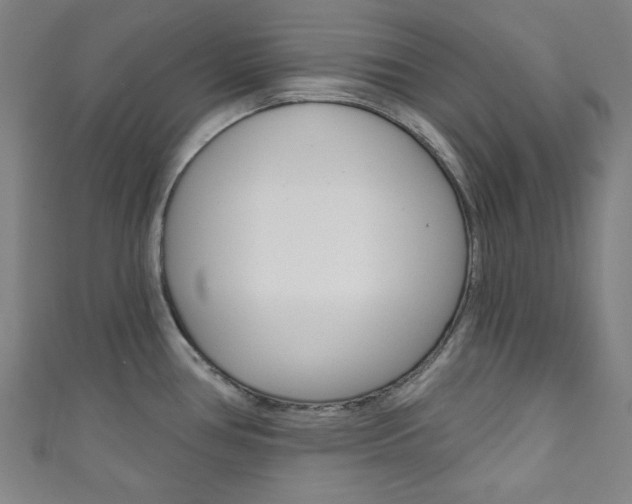 X0000111831386200907231013