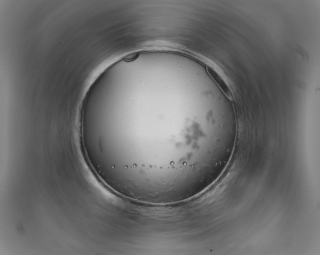X0000111831387200907231013