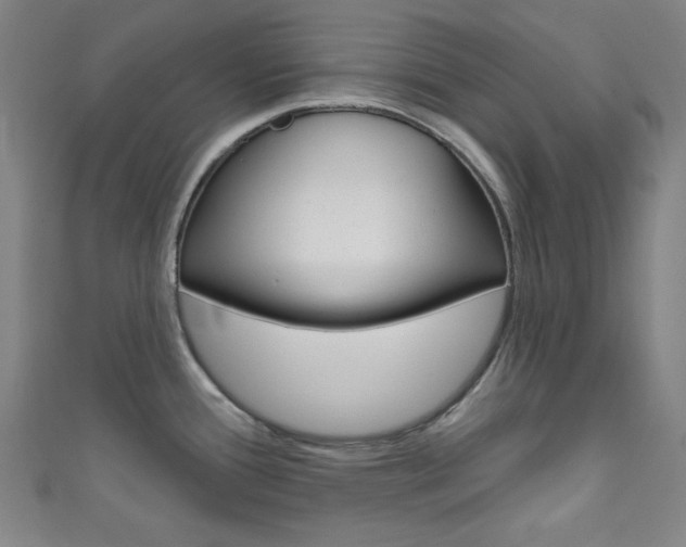 X0000111831388200907231013