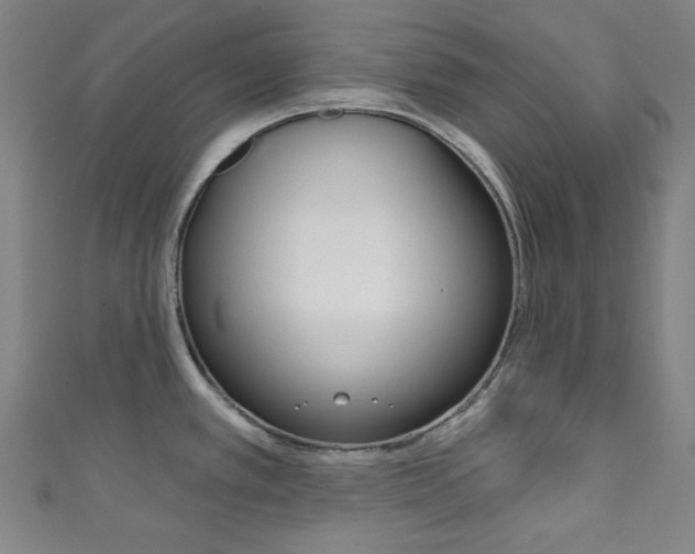 X0000111831389200907231013
