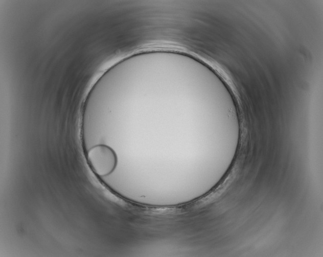 X0000111831390200907231013