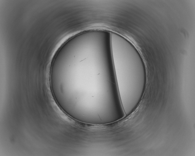 X0000111831392200907231013