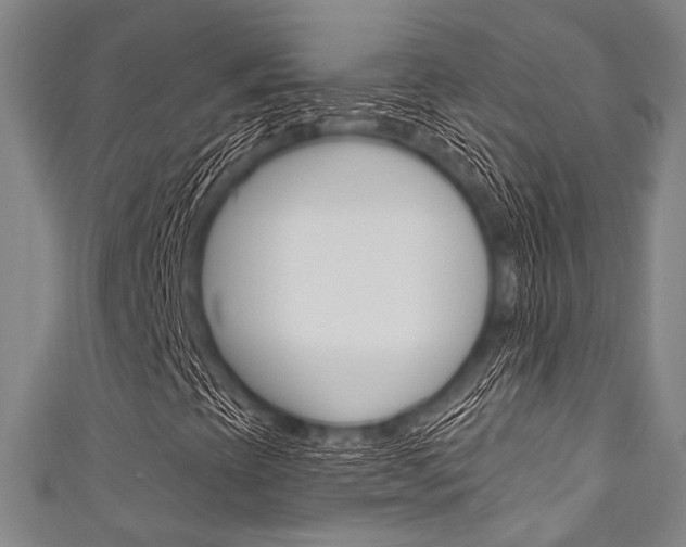 X0000111831393200907231012