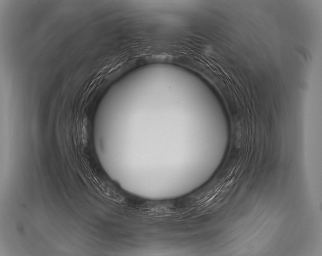X0000111831394200907231012