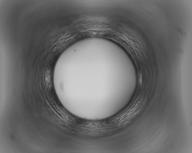 X0000111831396200907231013