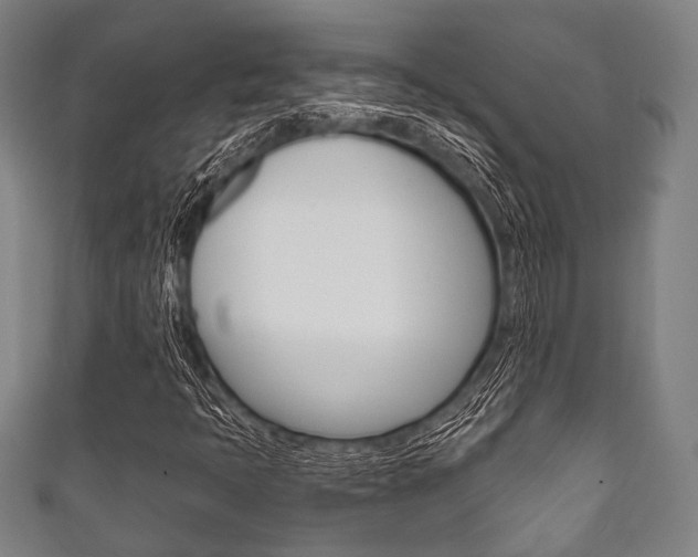 X0000111831397200907231013