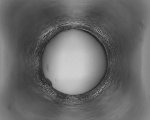 X0000111831398200907231013