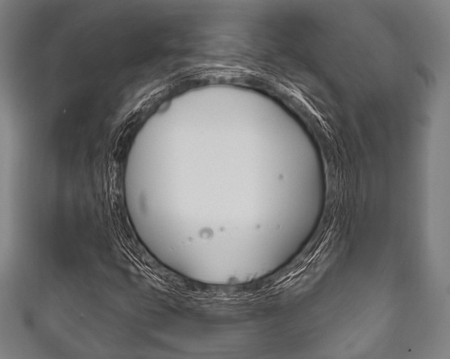 X0000111831399200907231013