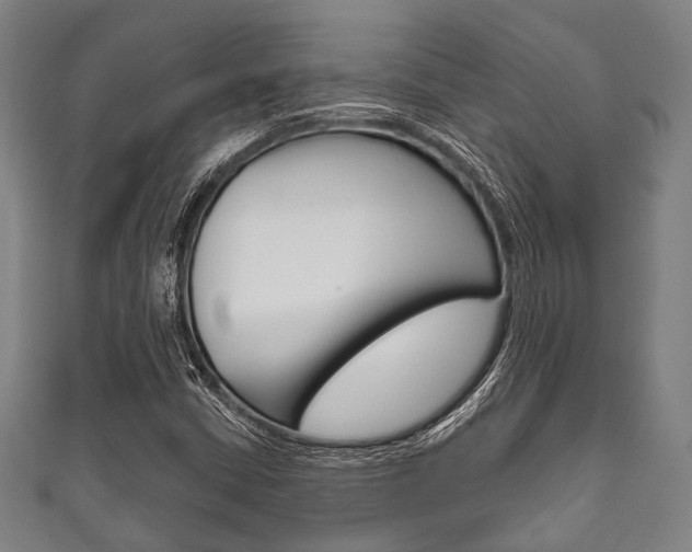 X0000111831402200907231013