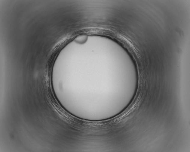 X0000111831403200907231013