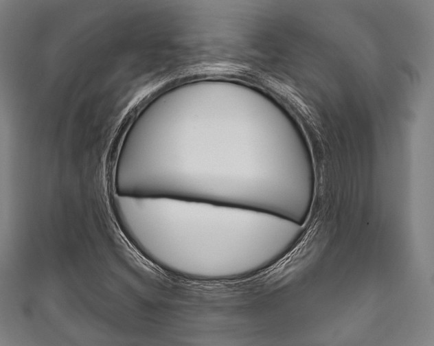 X0000111831404200907231013