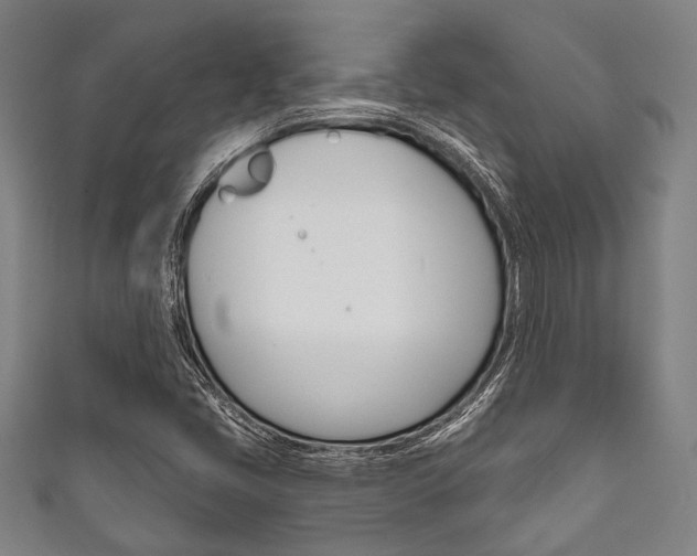 X0000111831405200907231013