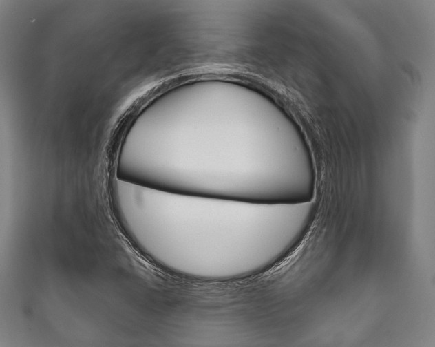 X0000111831406200907231013