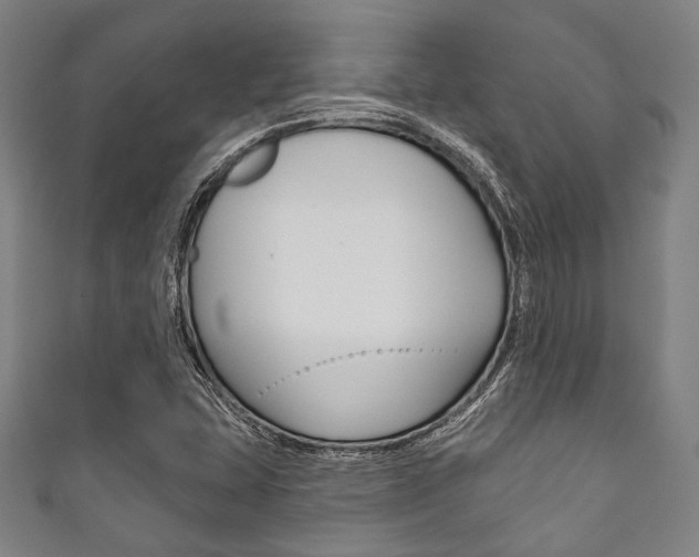 X0000111831407200907231013