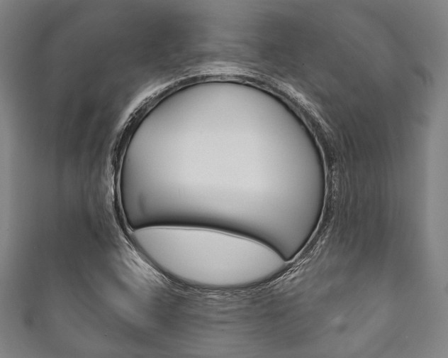 X0000111831408200907231013