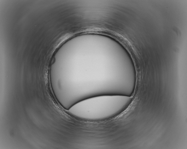 X0000111831409200907231013