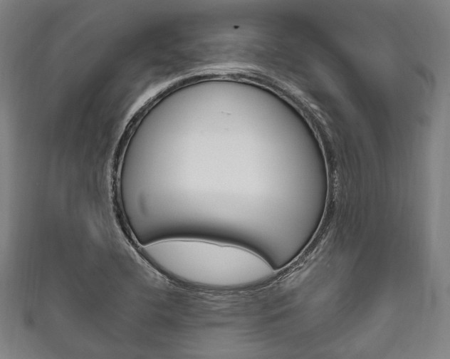 X0000111831412200907231013