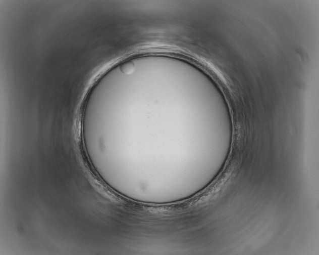 X0000111831413200907231013