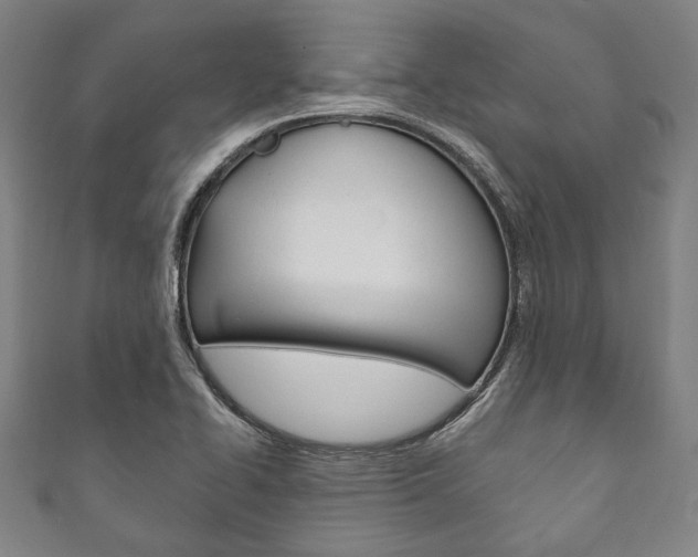 X0000111831414200907231013