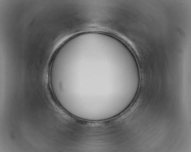 X0000111831415200907231013