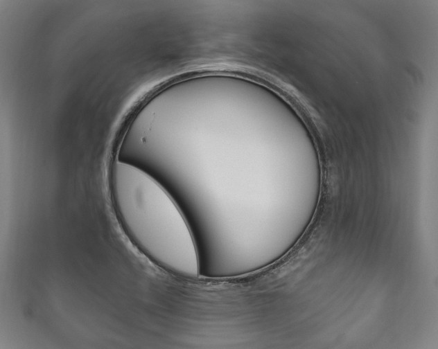 X0000111831416200907231013