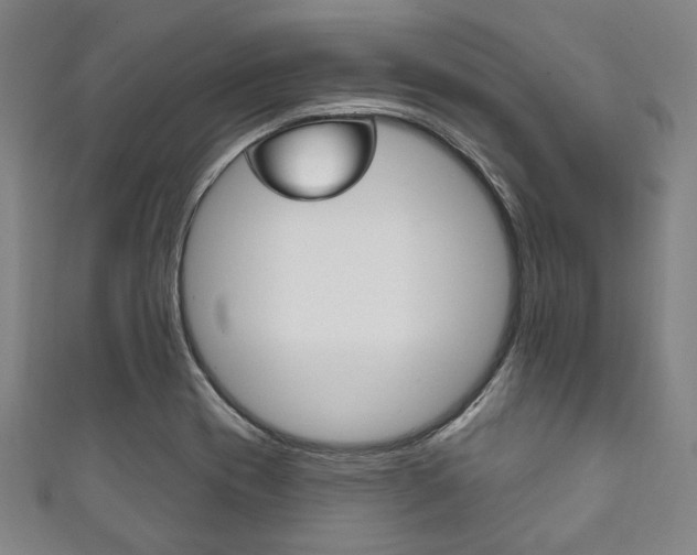 X0000111831417200907231013