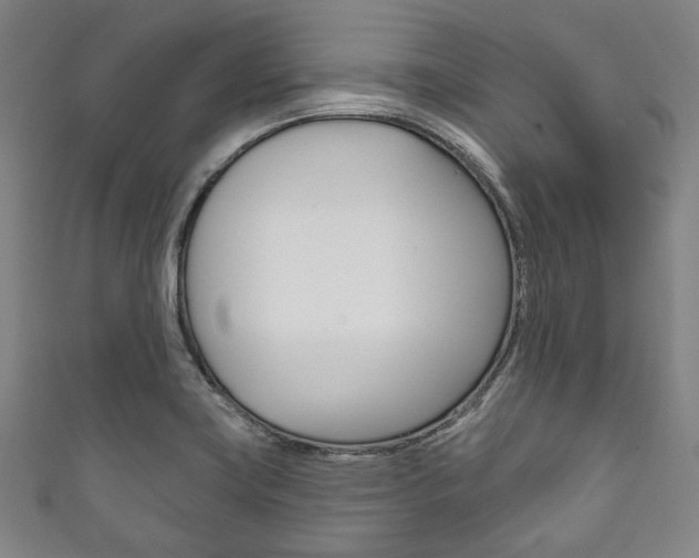 X0000111831419200907231013
