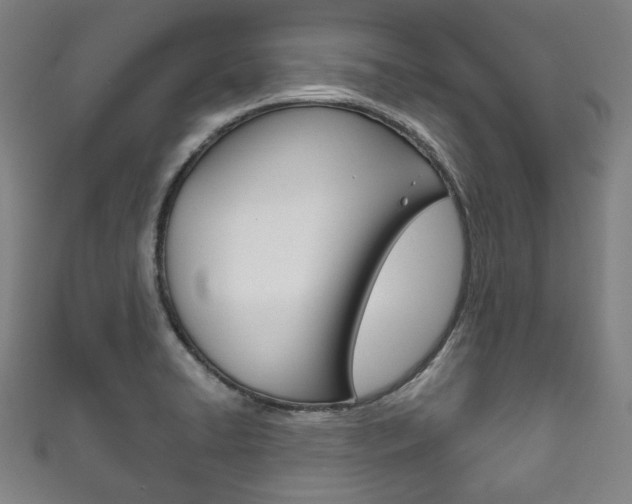 X0000111831422200907231013
