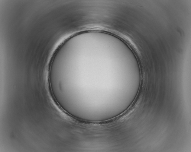 X0000111831424200907231013