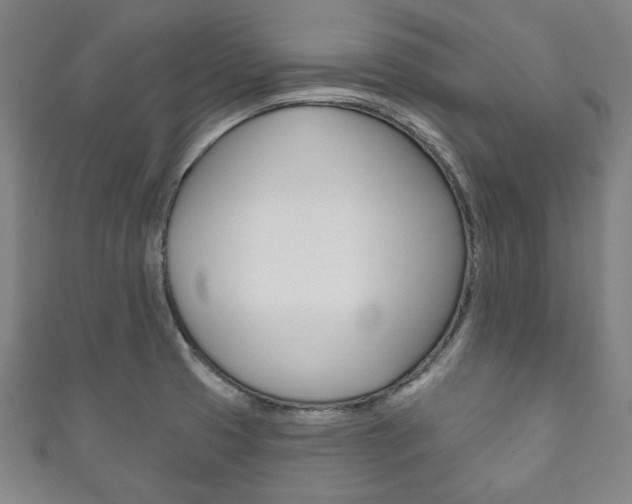 X0000111831425200907231013