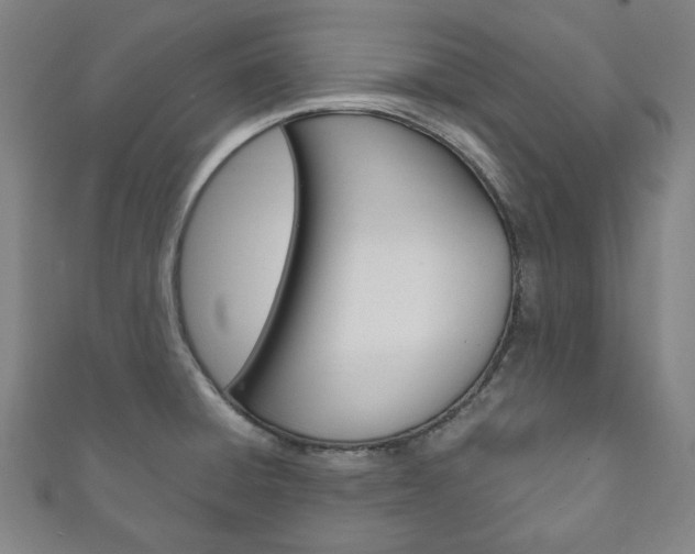 X0000111831428200907231013