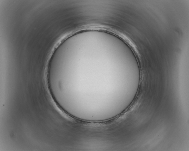 X0000111831429200907231013