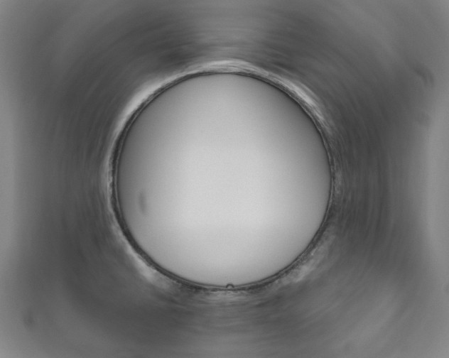 X0000111831430200907231013