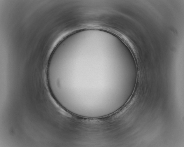 X0000111831432200907231013
