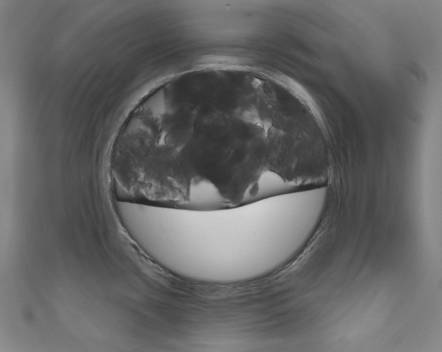 X0000111831435200907231013