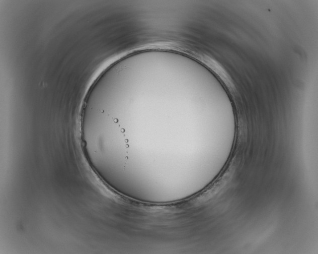X0000111831436200907231013