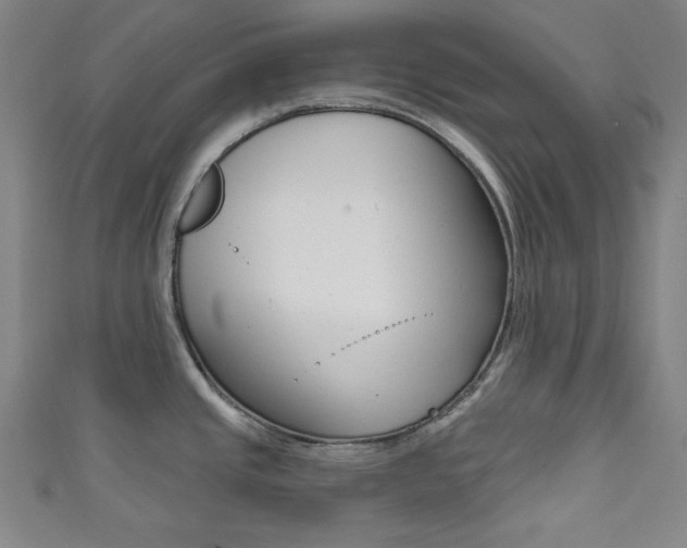 X0000111831437200907231013