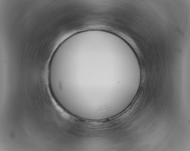 X0000111831439200907231013