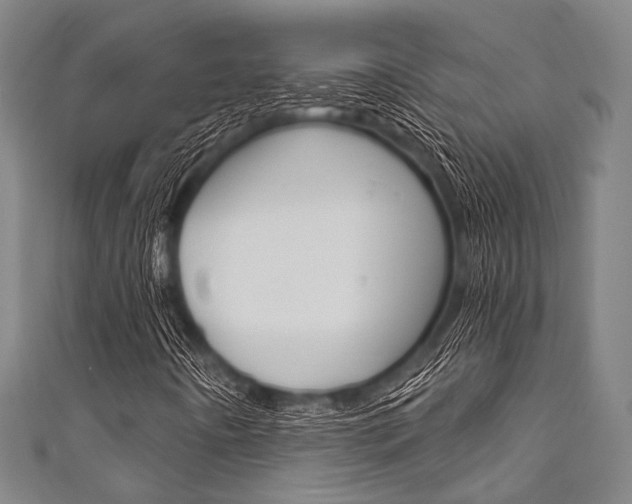 X0000111831442200907231012