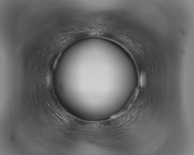 X0000111831444200907231012