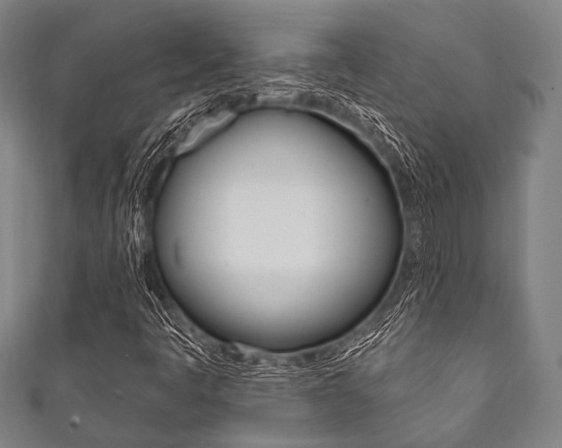X0000111831445200907231012