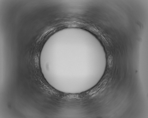 X0000111831446200907231012